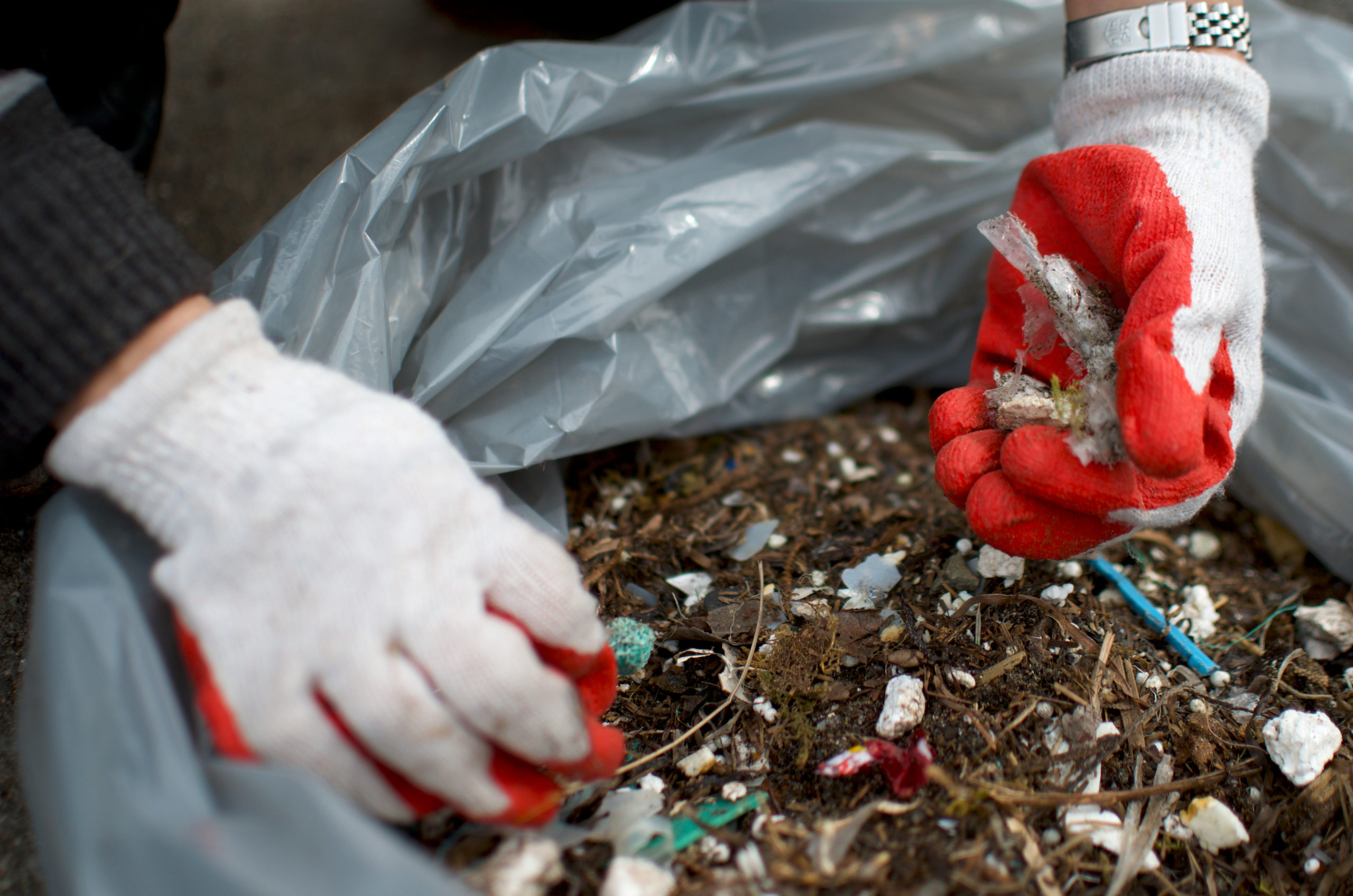 Fragments plastiques