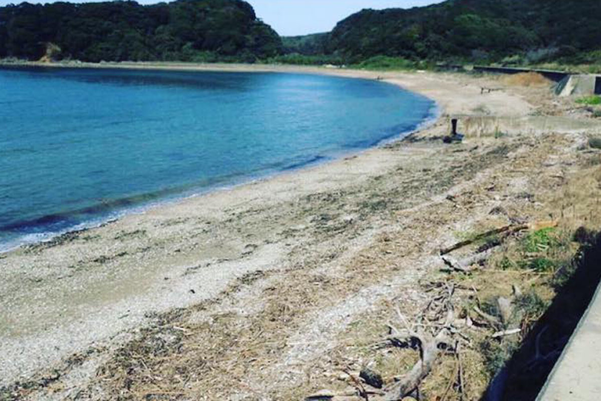 Littoral japonais avant et après