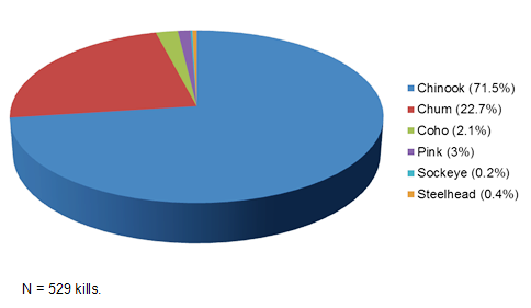Killer whale eating salmon data