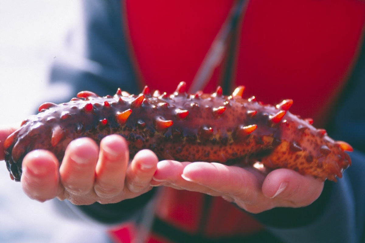 VanAqua_CNYSocialMedia_Twitter-Marmoset (002)