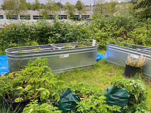 Les bacs auto-arrosants en métal de jardin par Casey Lo. Un ancien élève de YouthToSea remporte un prix environnemental. 