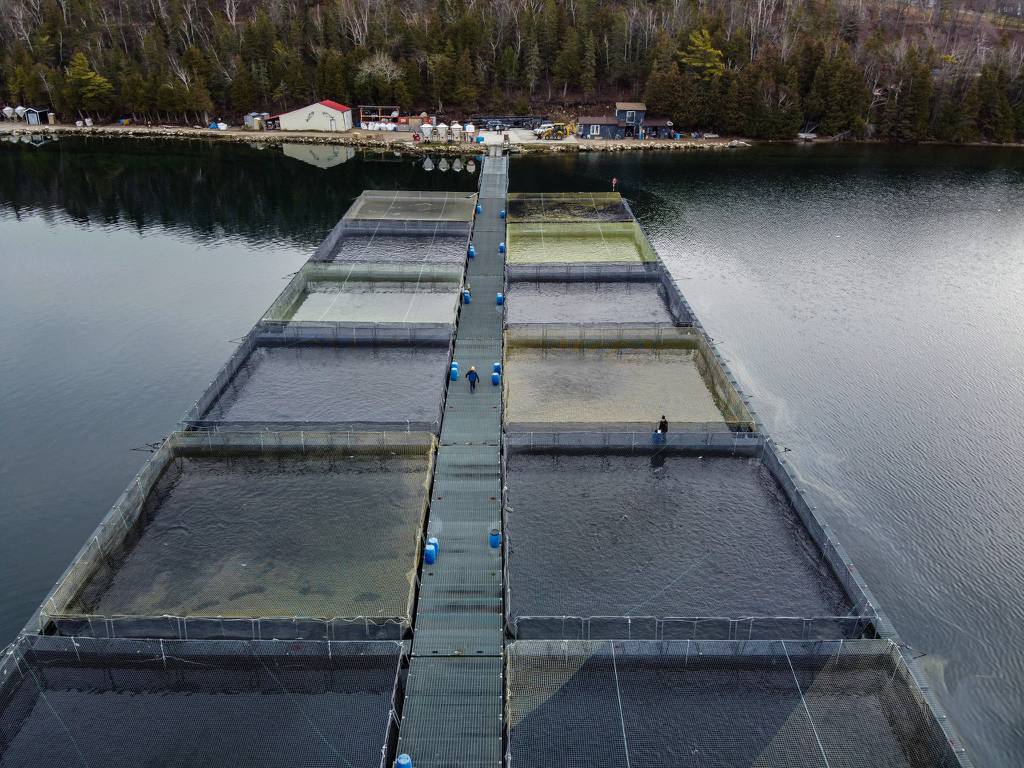 De l’eau douce à l’activisme : les ambassadeurs de Pont Océan s’unissent à Wiikwemkoong