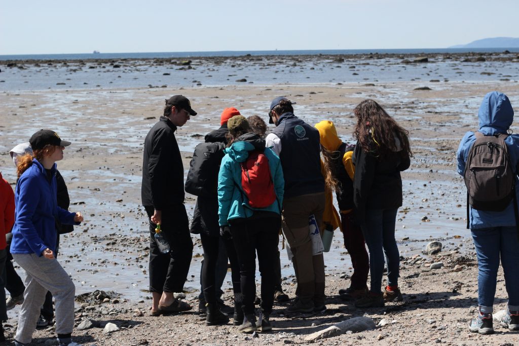 ocean bridge st lawrence Emma Corbin