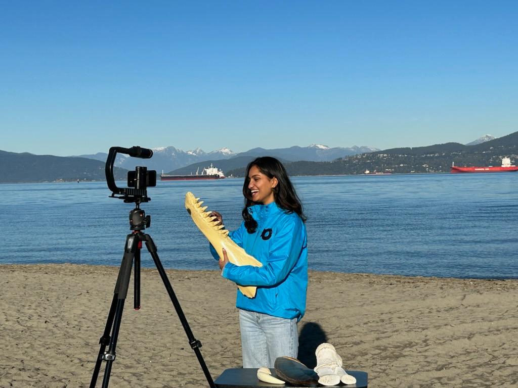 Virtual Field Trip – Live from the Beach - Ocean Wise