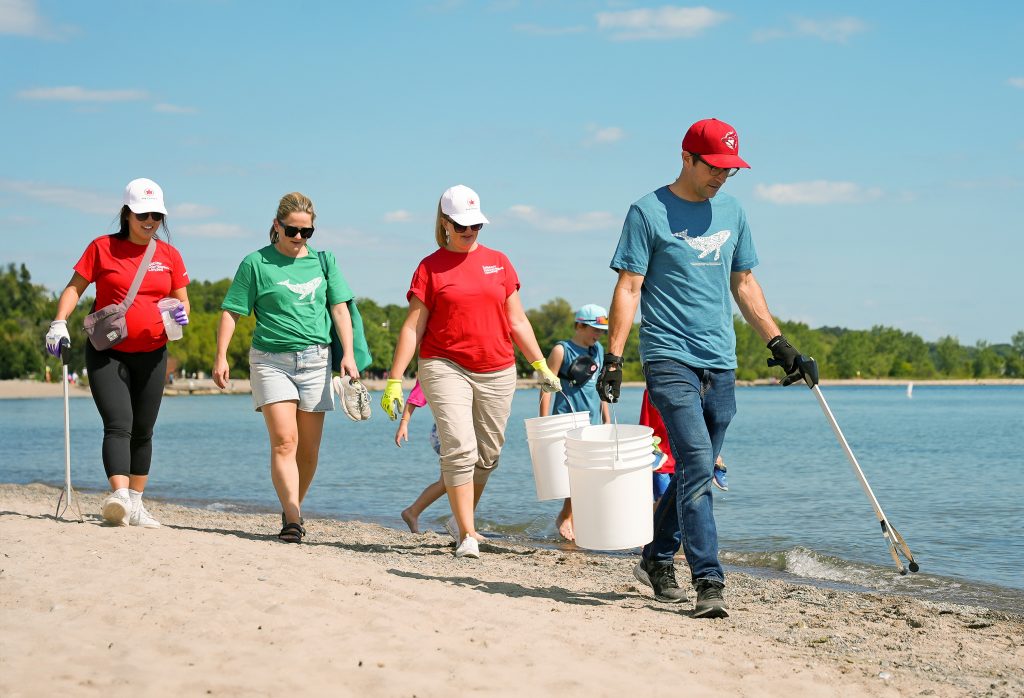 Lead a Shoreline Cleanup