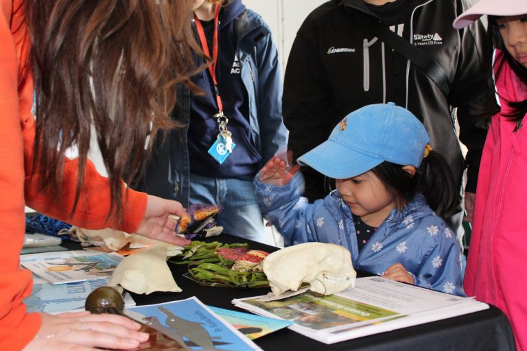 Head Back to School with Ocean Wise